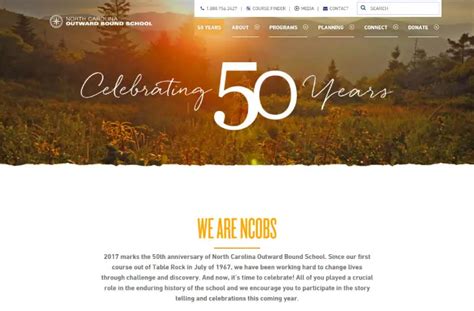 nonprofit anniversary campaign|nonprofit 50th anniversary celebration ideas.